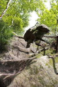 Stiege, Bergpfad, Rotkehlchenstiege