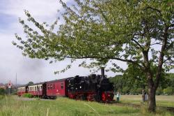 Personenzug bei Gernrode, Selketalbahn