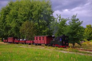 Waldeisenbahn Muskau, Waldbahnfest 2013, Güterzug