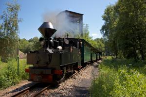 Waldeisenbahn Muskau