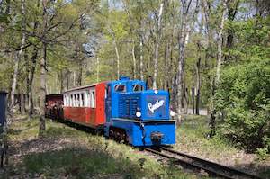 Parkeisenbahn Wuhlheide