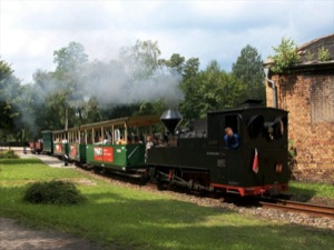 Dampflok - Waldeisenbahn Muskau