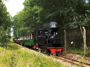 Dampflok - Waldeisenbahn Muskau