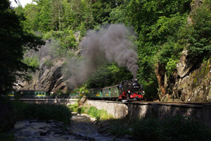 Weißeritztalbahn, Dampflok, Weißeritz