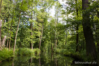 Tschapek Huschebusch Spreewald