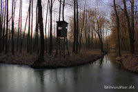 Spreewald Winter mystisch