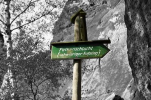 Falkenschlucht - Gohrisch - Sächsische Schweiz