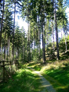 Böhmische Schweiz, Wanderweg, Wanderung, Wandern